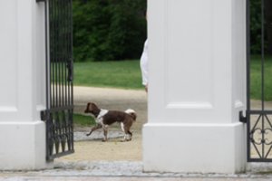 Šiame Lietuvos kurorte būstai tiesiog graibstomi – pirkėjai prisipažino, kodėl