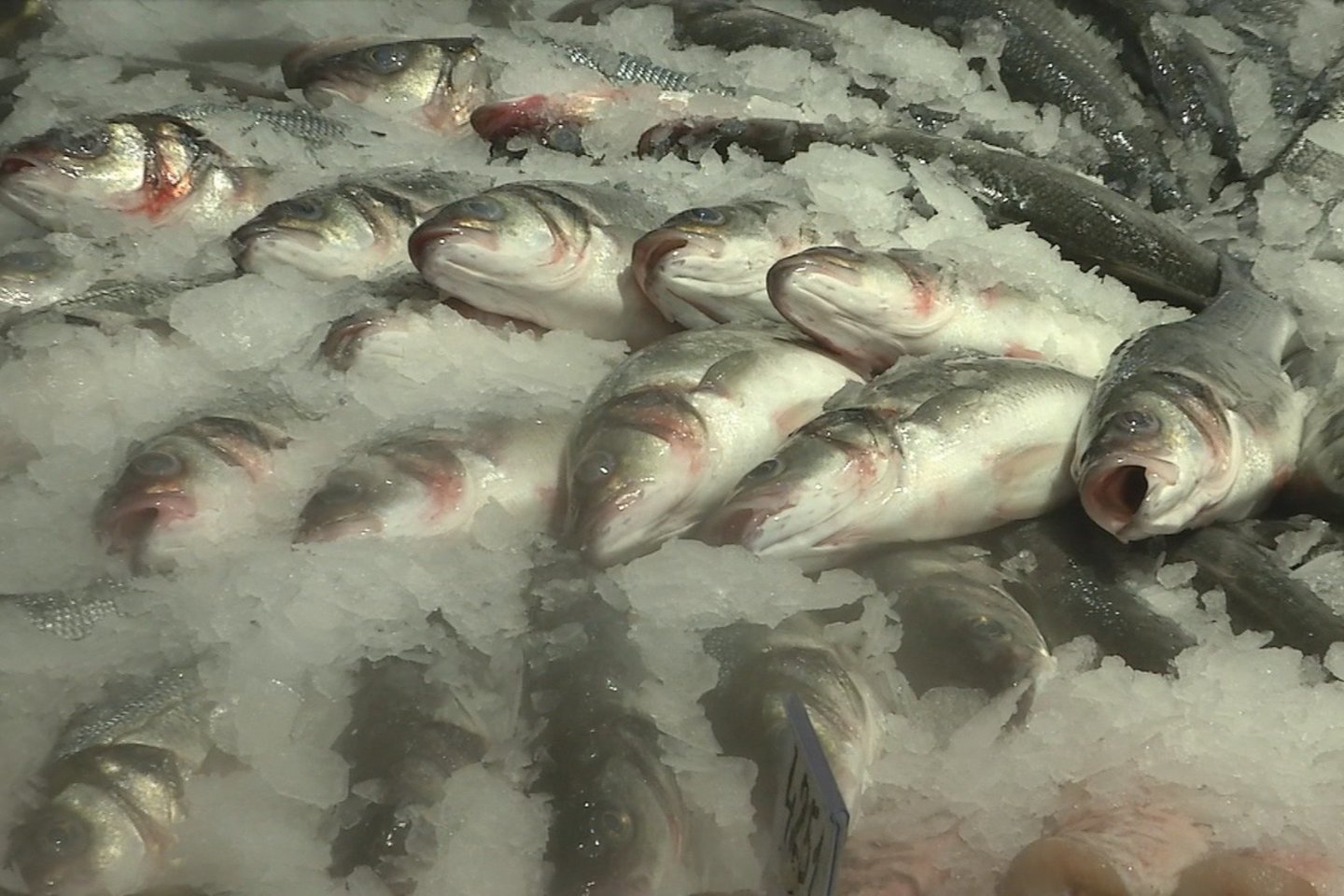  Prekybininkai pataria perkant žuvį žiūrėti, kad ji blizgėtų, būtų graži, žiaunos – raudonos.<br> Stop kadras