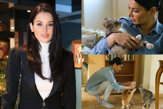 Agnės Jagelavičiūtės katė – socialinių tinklų žvaigždė: pati save išlaiko