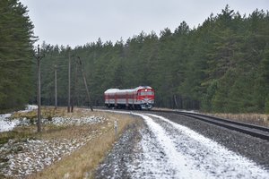 Svarbi žinia keliaujantiems traukiniais: įsigalioja nauji metiniai tvarkaraščiai