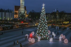 Šiauliai išvengė šurmulio – eglė įžiebta paslapčia