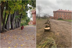 Kultūros paveldo departamento vadovas: „Raudonės pilies parko tvarkymas – seniai lauktas žingsnis“