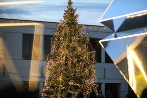 Klaipėdoje nušvito kalėdinė eglė: įžiebė vaikai