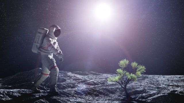 Iš kosmoso grįžo ypatinga kapsulė: tai gali suteikti žinių apie gyvybės Žemėje kilmę