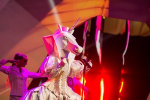 Paaiškėjo, kas slėpėsi po „Kaukių“ nugalėtojo kauke