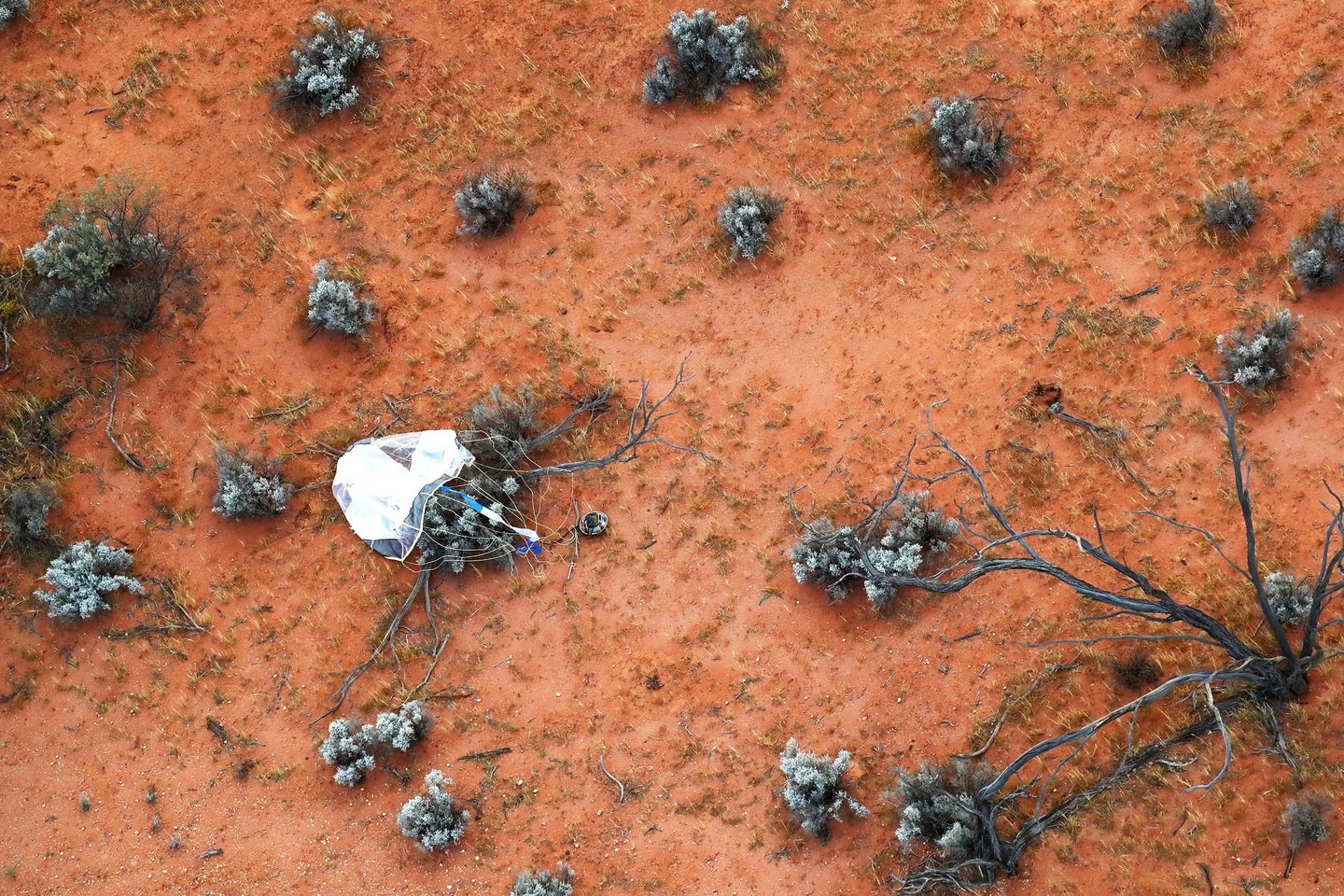  Šeštadienio vakarą konteineris su kosminės uolos – asteorido Ryugu – mėginiais parašiutu nusileido netoli Vumeros (Australija).<br> AFP / Scanpix nuotr.