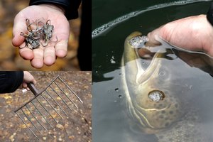 Reido metu pareigūnai patikrino žvejus: šiurkščius pažeidimus padariusiems – tūkstantinės baudos