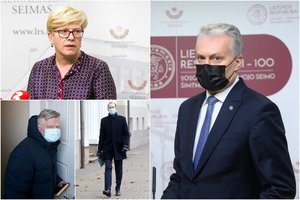 Patvirtinus naują Vyriausybę – ir ironiškos šypsenos, ir žvilgsniai į G. Nausėdą: I. Šimonytei tiko jos išbrokuotas veikėjas