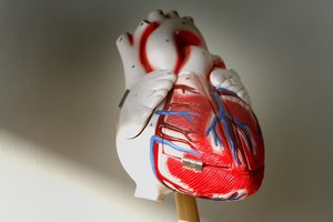 Kardiologas pateikė 3 būdus, kaip sumažinti padidėjusį cholesterolio kiekį organizme