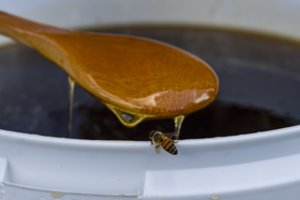 Ukraina fiksuoja istorinį medaus eksporto rekordą