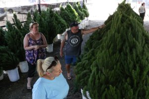 Jau trūksta Kalėdų eglučių: žmonės trokšta metus pabaigti linksmesne gaida