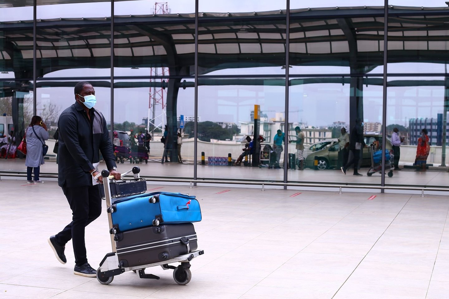 Oro uoste sulaikyti vyrai, ketinę gabenti nuodingas gyvates į Londoną iš Kamerūno.<br> Scanpix/Reuters/AFP/TASS asociatyvi nuotr.