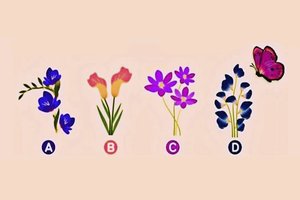 Ant kurios gėlės nutūps drugelis? Visa tiesa apie jūsų santykius