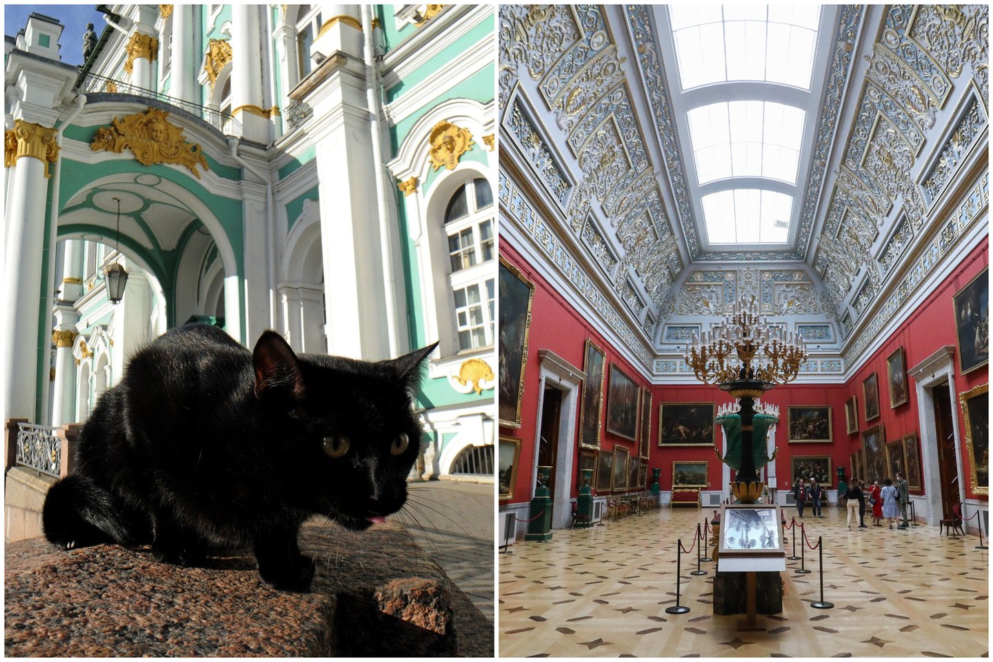  Prancūzų gydytojas testamentu paliko 3 000 eurų Sankt Peterburgo Ermitažo katėms.<br> Lrytas.lt koliažas