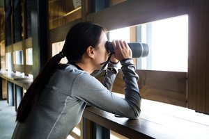 Lelijos Žiedlapis kraujo klane: pačių kinų nužudyta gražuolė agentė 16 metų mulkino JAV saugumą