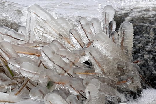  Ledo skulptūros Juodkrantėje.<br> B. Kocienės nuotr.