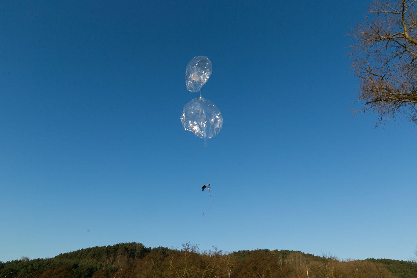  Ketvirtadienį, apie 12 val. 30 min. buvo gautos naujos baliono koordinatės, pagal kurias matosi, jog ties Alūksnės gyvenviete balionas LKB-1 kirto Latvijos-Estijos sieną.<br> T.Bauro nuotr.