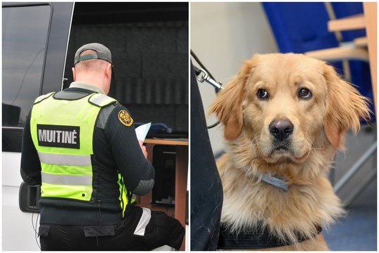  Gyvūnų augintinių įvežimas į Lietuvą – po didinamuoju stiklu.