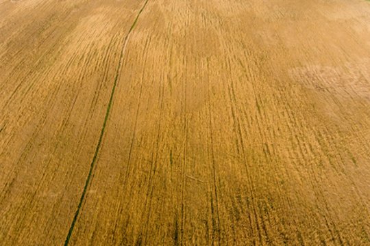 Rusija per pirmus 10 šių metų mėnesių eksportavo 29,3 mln. tonų kviečių ir kvietrugių – 10,6 proc. daugiau nei per tą patį laikotarpį pernai.