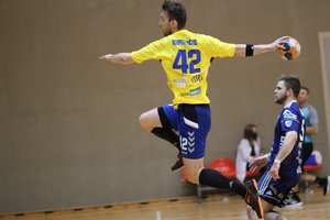 Rankinio lyga mėnesiui atideda visas rungtynes