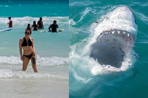 Turistų pamėgtoje saloje jūrų monstras į gelmes nusitempė 39-erių moterį, kūną rado jau be kojos