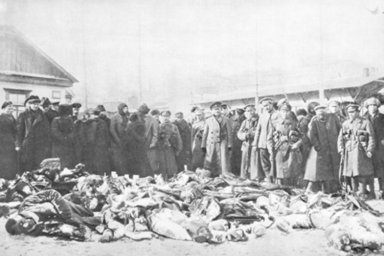 Vokietis belaisvis aprašė brolžudišką karą Rusijoje: „Ėjome pro stirtas lavonų ir tada pasibeldė Sibiro žiema“