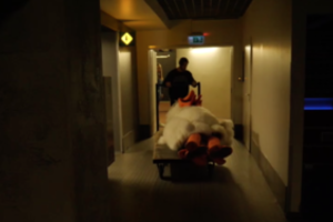 Dėl gigantiškos Vištos kaukės aktorius S. Storpirštis į filmavimus patekdavo tik gulomis