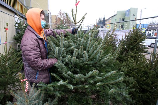 Prekiaujantiems Kalėdų eglutėms Vyriausybė padarė išimtį