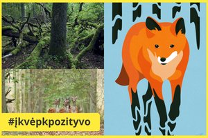 Meno kūrėjai kviečia įsigyti jų kūrinių ir taip paremti senųjų miškų išsaugojimą