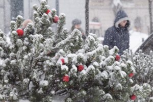 Sinoptikai pranešė, kokios bus Kalėdos – baltos ar su lietumi?