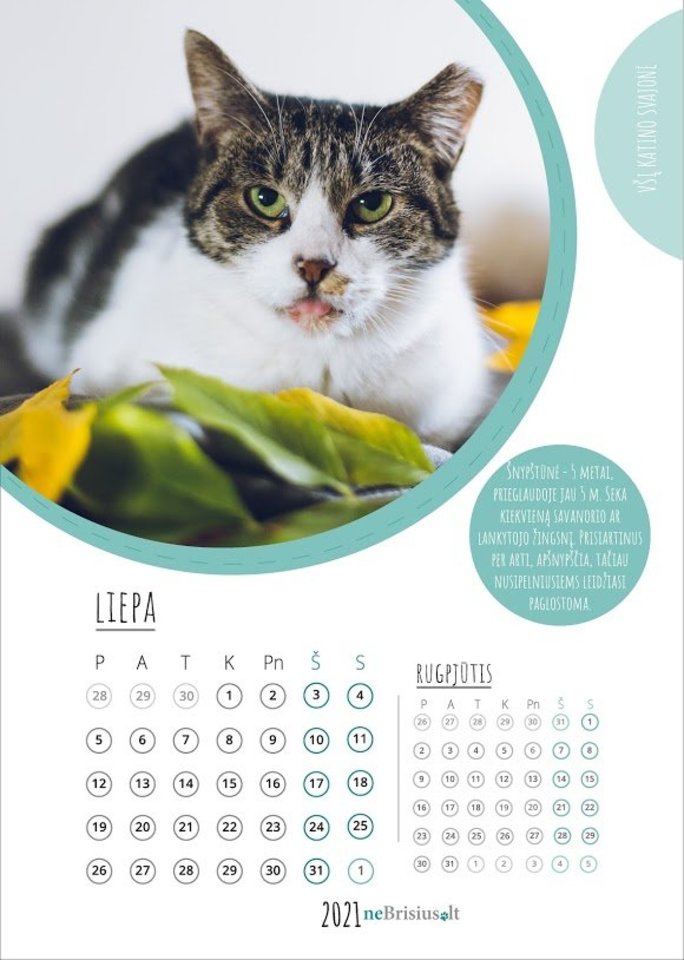  Išleido kalendorių su beglobių gyvūnų nuotraukomis: neša naują ir įkvepiančią žinią.<br> Pranešimo spaudai nuotr.