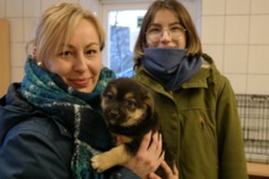 Per karantiną lietuviai atvėrė širdis gyvūnams: naują šeimos narį randa per socialinius tinklus