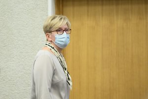 Valdantiesiems žadant Lietuvoje įvesti nepaprastąją padėtį, žodį tarė ekspertai