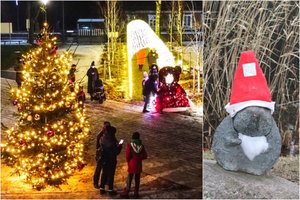 Šilutėje kaip pasakoje: miestas žiba naujomis dekoracijomis, o norus pildo bebras