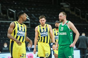 Pasitikėjimo krizę su komanda išgyvenantis E. Ulanovas: „Neturime stebuklingos burtų lazdelės“