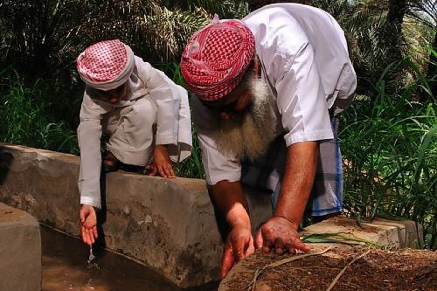 Tarp šiais metais į UNESCO nematerialaus kultūros paveldo sąrašus įrašytų vertybių pateko Al Aflaj, tradicinė irigacijos sistema (Jungtiniai Arabų Emyratai).