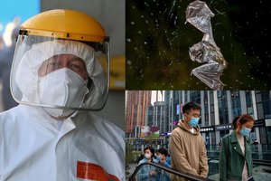 Tyrėjų komanda ruošiasi į beprecedentę ekspediciją: ieškos tikslios koronaviruso kilmės vietos