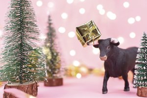 Būrėja: sutikdami Jaučio metus tiktai neerzinkite jo raudona spalva