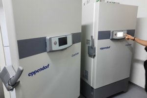 SAM paskelbė: specialūs šaldikliai ir patalpos vakcinoms nuo koronaviruso laikyti – jau paruošti