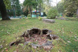 Kaunas sieks perimti Vytauto parko ir buvusios konsulo rezidencijos teritorijas