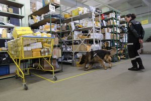 Padirbtų prekių netrūksta: kaip atpažinti suklastotas ir ką su jomis daro pareigūnai