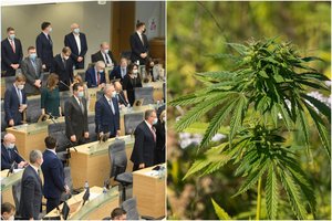 Seime kelią skinasi nedidelio narkotikų kiekio turėjimo dekriminalizavimas