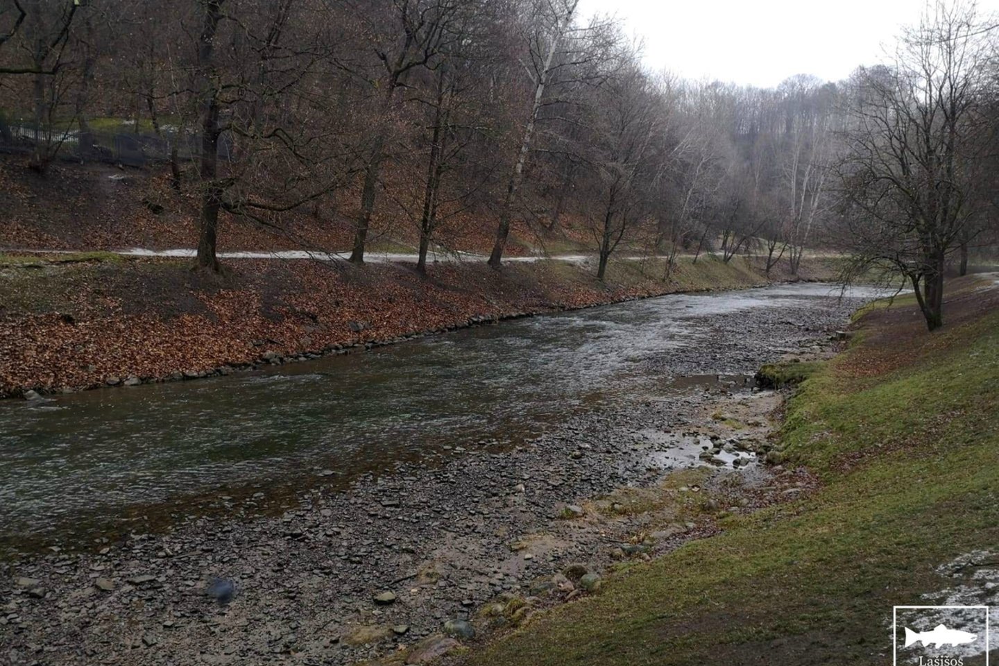 Nusekusi Vilnios upė dėl hidroelekrinės veiklos.<br>  „Lašišos dienoraštis“ nuotr.