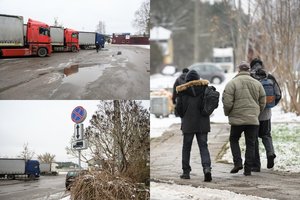 Neapsikenčia po langais stovinčių vilkikų vairuotojų: tuštinosi, kol išretino gyvatvorę, nesibaigia keiksmažodžiai
