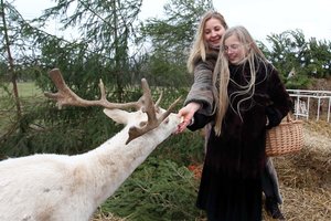  Tokių Kalėdų kauniečių šeima dar neturėjo – per karantiną kilusi idėja ateityje gali virsti naujo verslo užuomazga 
