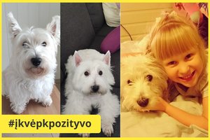 Brolio ar sesutės neturinčiai dukrytei – baltapūkė dovana: padėjo ištverti sunkumus emigravus į Norvegiją