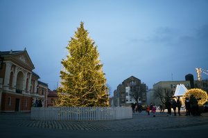 Klaipėda Naujųjų išvakarėse užgesins eglę, Šiauliai siūlo laikiną draudimą palikti namus