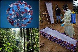 Mokslininkai perspėjo, kad pasaulį bet kada gali sukrėsti už koronavirusą pavojingesnė nauja infekcija