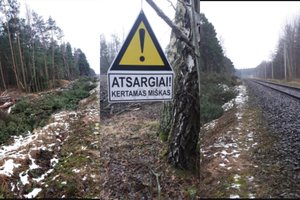 Klaipėdiečiai išsigandę: jau kertamas Girulių miškas palei geležinkelį?