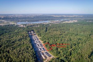 Miške gyvenantys kauniečiai grūmoja naujų daugiabučių statytojams: pagailėkite šikšnosparnių